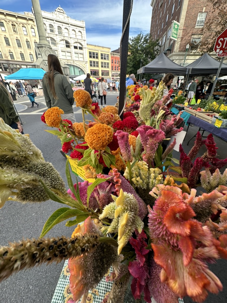 Blumenstand auf dem Farmers Market in Troy