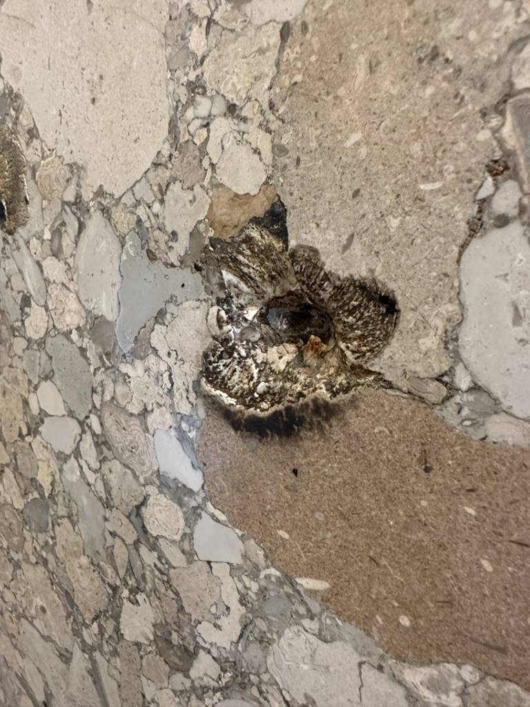 Ausgebesserte Stelle im Marmor der Wand im State Capitol