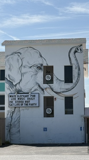 Elefanten-Wandbild am White Elephant Pub mit Schild Live Music Daily