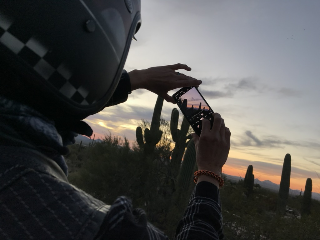 Person fotografiert Saguaros in der Dämmerung