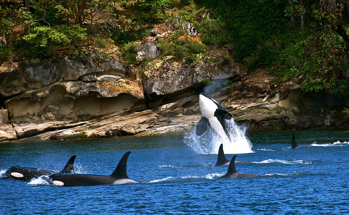 San Juan Islands