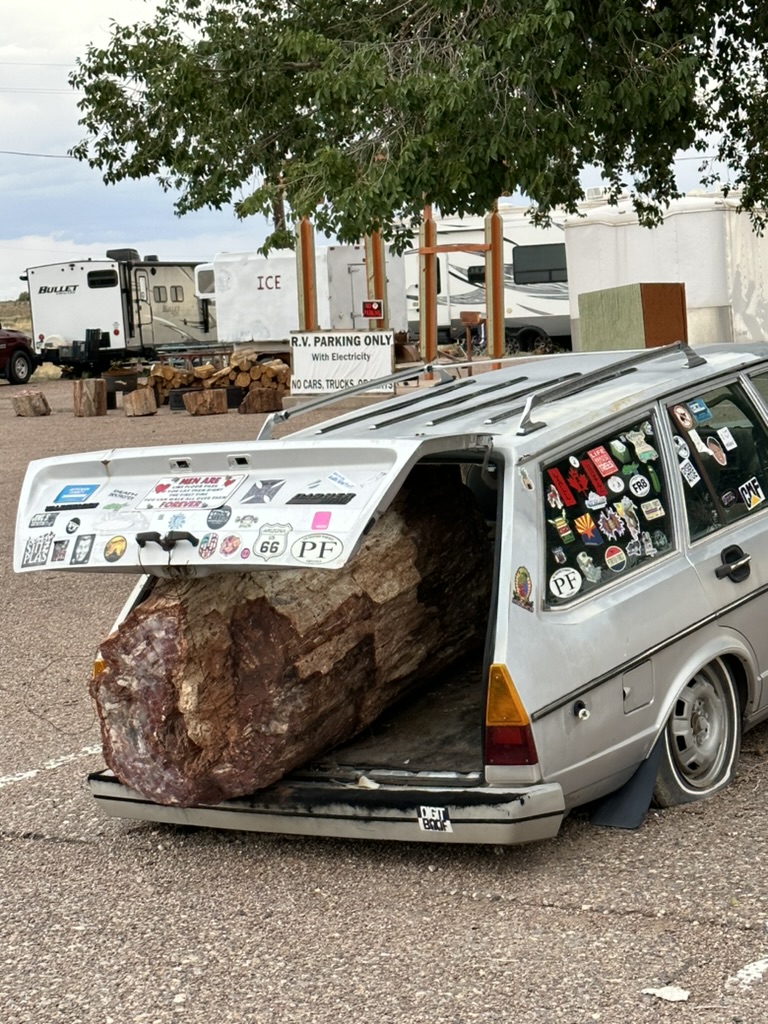 Auto mit versteinertem Baumstamm in Arizona