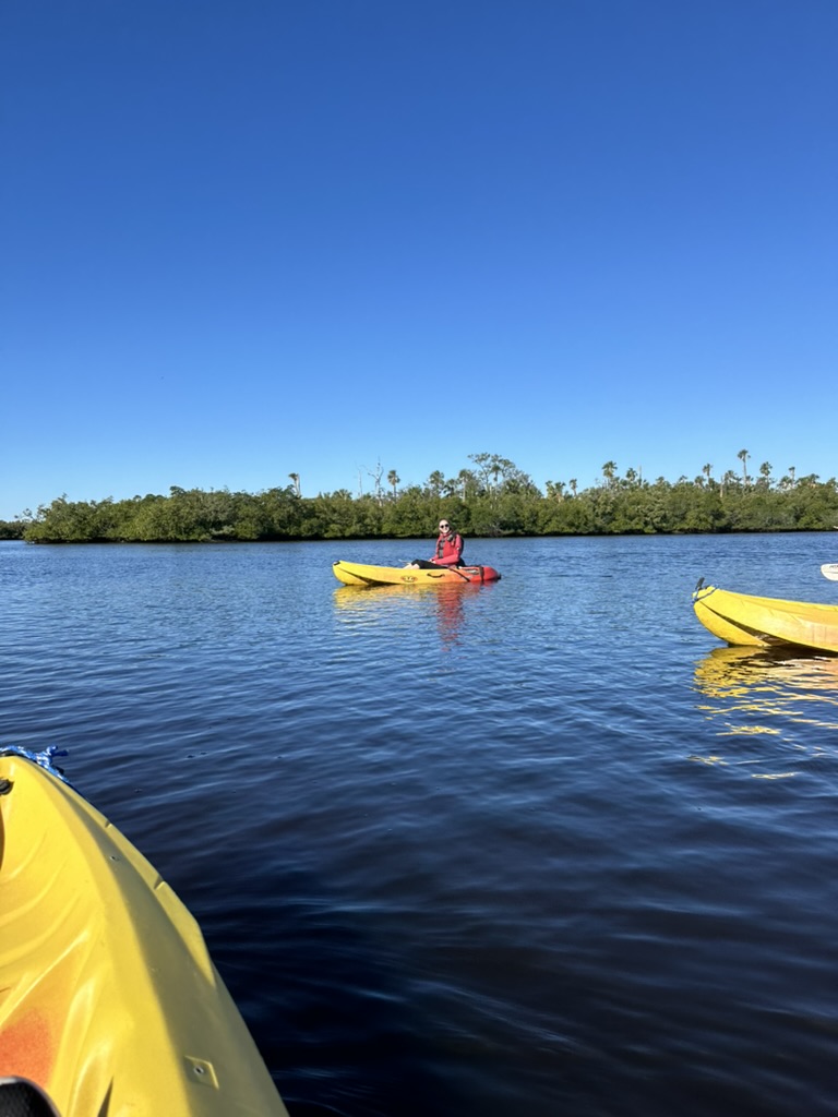 Gelbe Kajaks auf ruhigem Wasser vor Mangroven