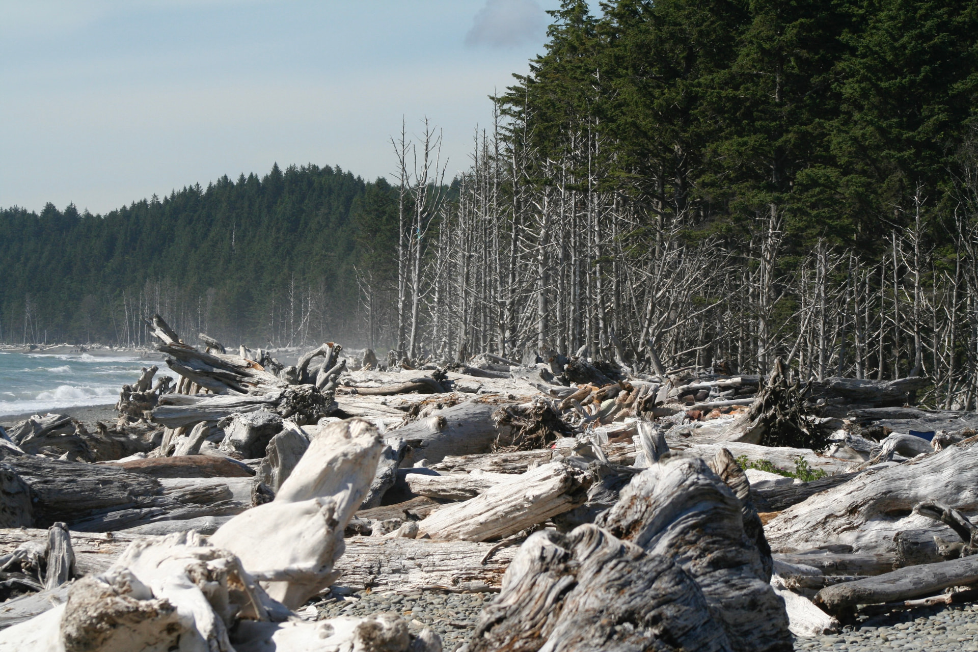 Wilde Küste bei La Push