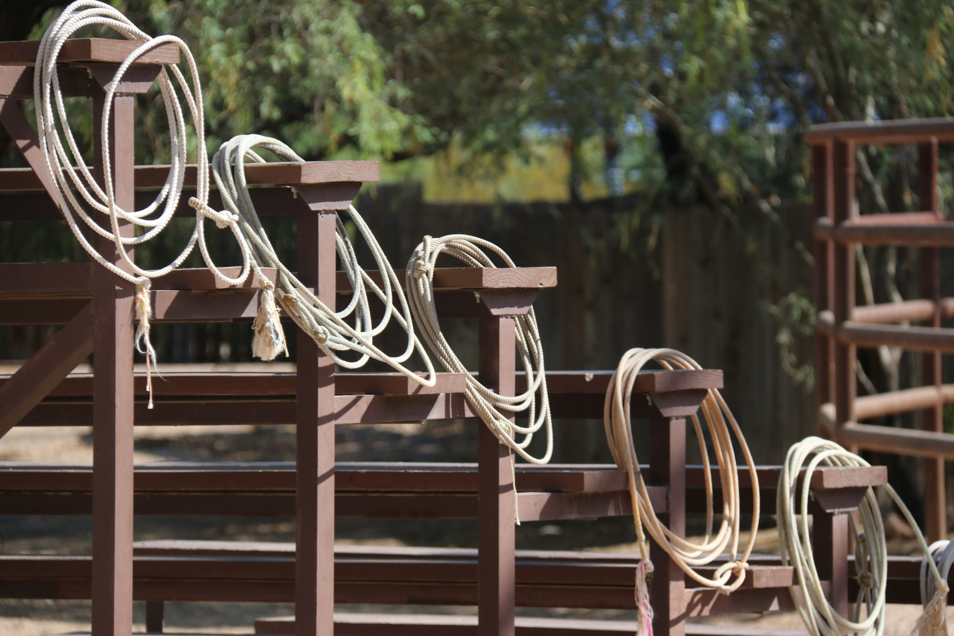 Aufgerollte Lassos auf hölzernen Ständern der White Stallion Ranch bei Tucson