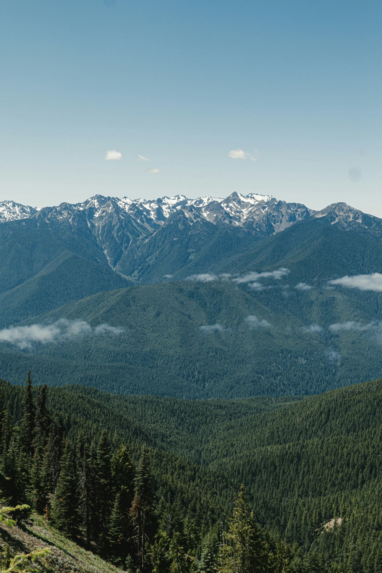Olympic National Park